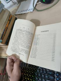 沙特林那计划