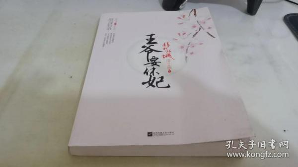 非我倾城：王爷要休妃附 下