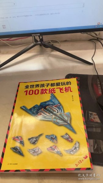 全世界孩子都爱玩的100款纸飞机