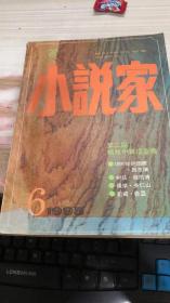 小说家1995年第6期