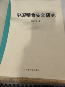 中国粮食安全研究