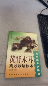 黃背木耳高效栽培技術(shù)