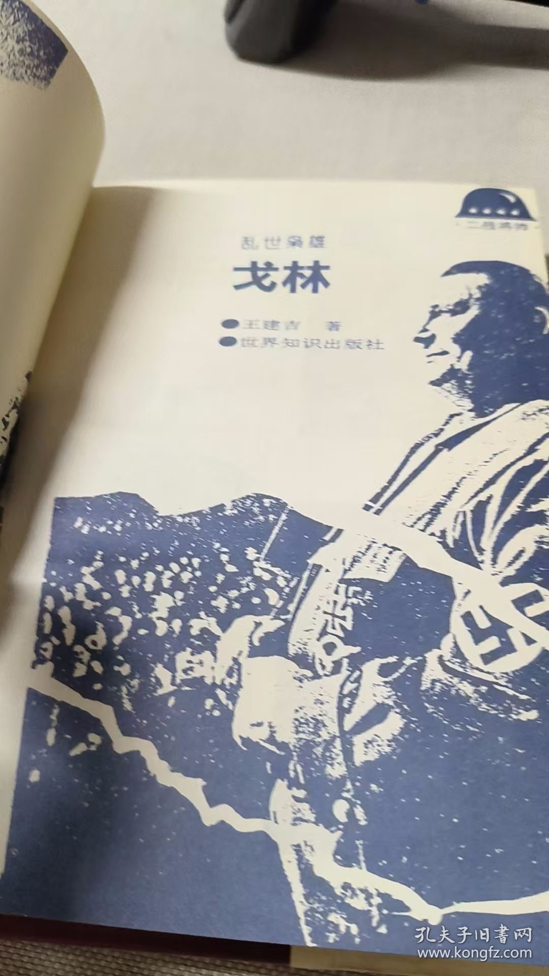 乱世枭雄：戈林