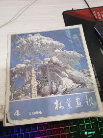 林业画报1984 4