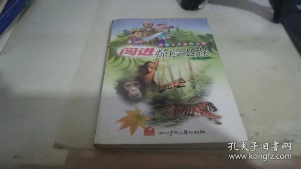 闯进惊险丛林