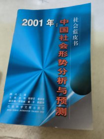 2001年:中国社会形势分析与预测