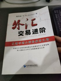 外汇交易进阶：从新手到大师的成功之路