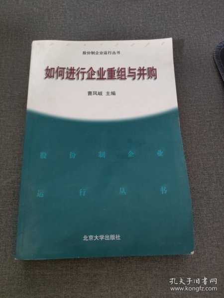 如何进行企业重组与并购——股分制企业运行丛书