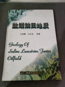 鹽湖油田地質(zhì)