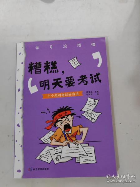 学习没烦恼（套装共10册）小学生学习方法技巧漫画故事绘本