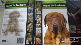 Dogue de Bordeaux【波尔多犬，法文原版，精装本，精美彩色图文本】