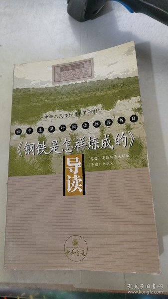 《钢铁是怎样炼成的》导读