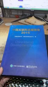 中国互联网发展报告2015