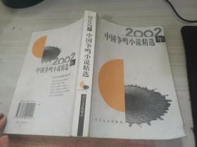 2002年中国争鸣小说精选