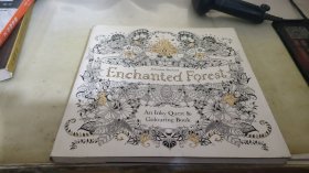 Enchanted Forest魔法森林 英文原版