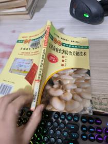 食用菌病虫害防治关键技术（彩插版）