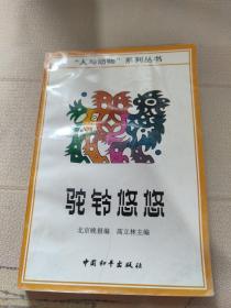 驼铃悠悠