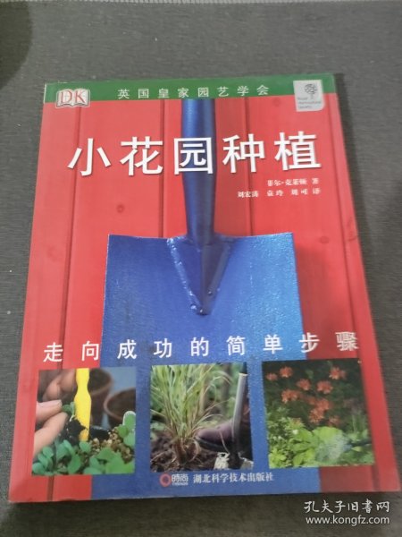 小花园种植：小花园种植+铁线藤与藤蔓植物