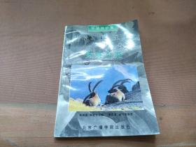 环境保护集环境生态
