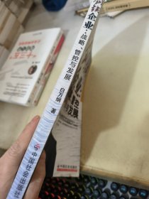 钢铁企业：战略、管控与发展