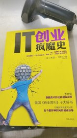 IT创业疯魔史