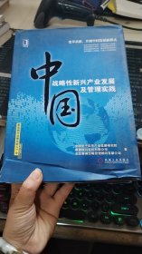 中国战略性新兴产业发展及管理实践