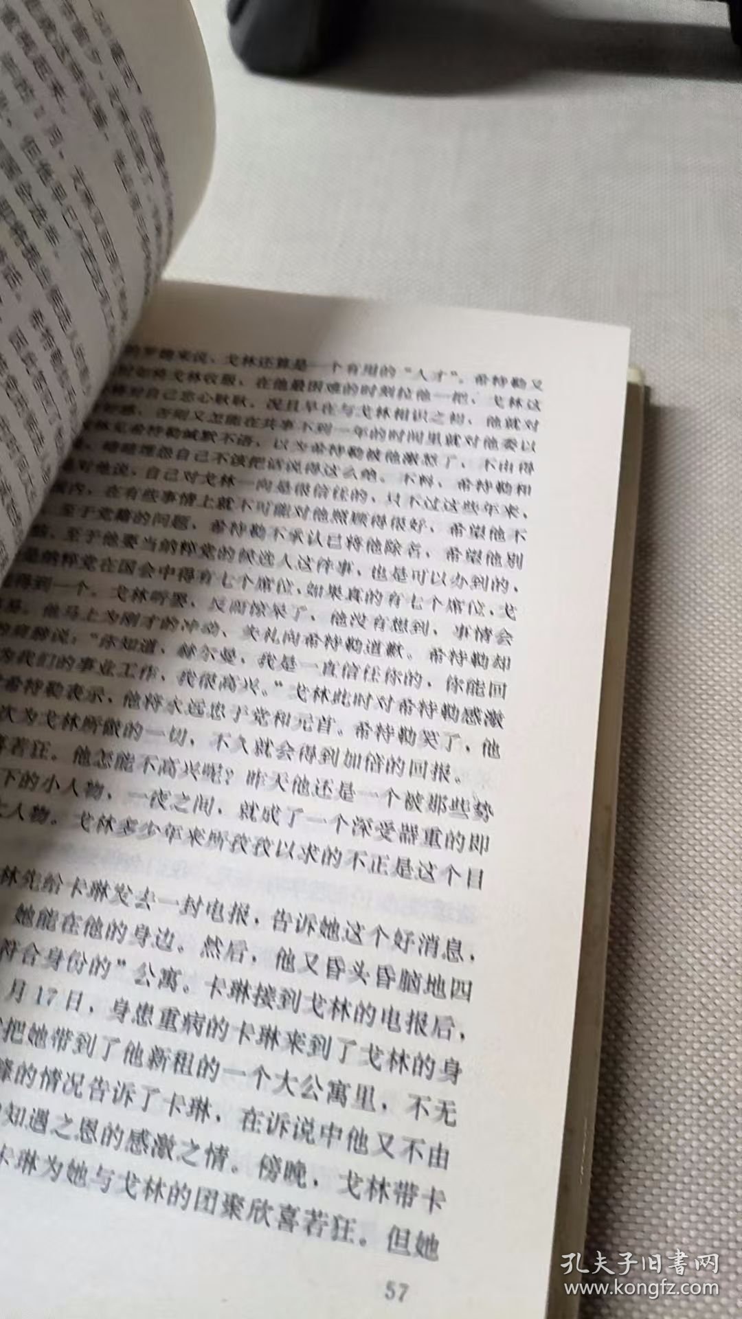 乱世枭雄：戈林