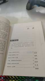 大国心路：中国走向世界的思考