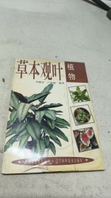 室內(nèi)名貴花卉叢書--草本觀葉植物