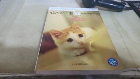 猫咪心事2：猫咪喂养指南