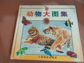 動物大圖集