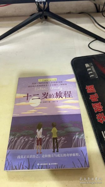 长青藤国际大奖小说：十二岁的旅程(《纽约时报》杰出童书奖)