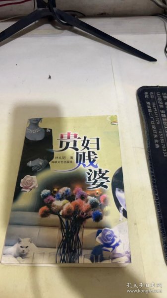 贵妇贱婆