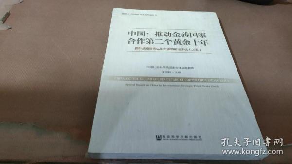 中国：推动金砖国家合作第二个黄金十年 国外战略智库纵论中国的前进步伐（之五）