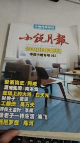 小说月报2008年增刊4