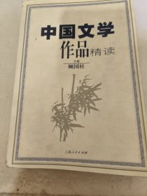 中国文学作品精读