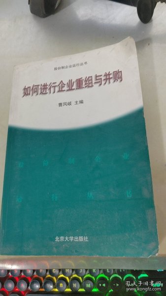 如何进行企业重组与并购——股分制企业运行丛书