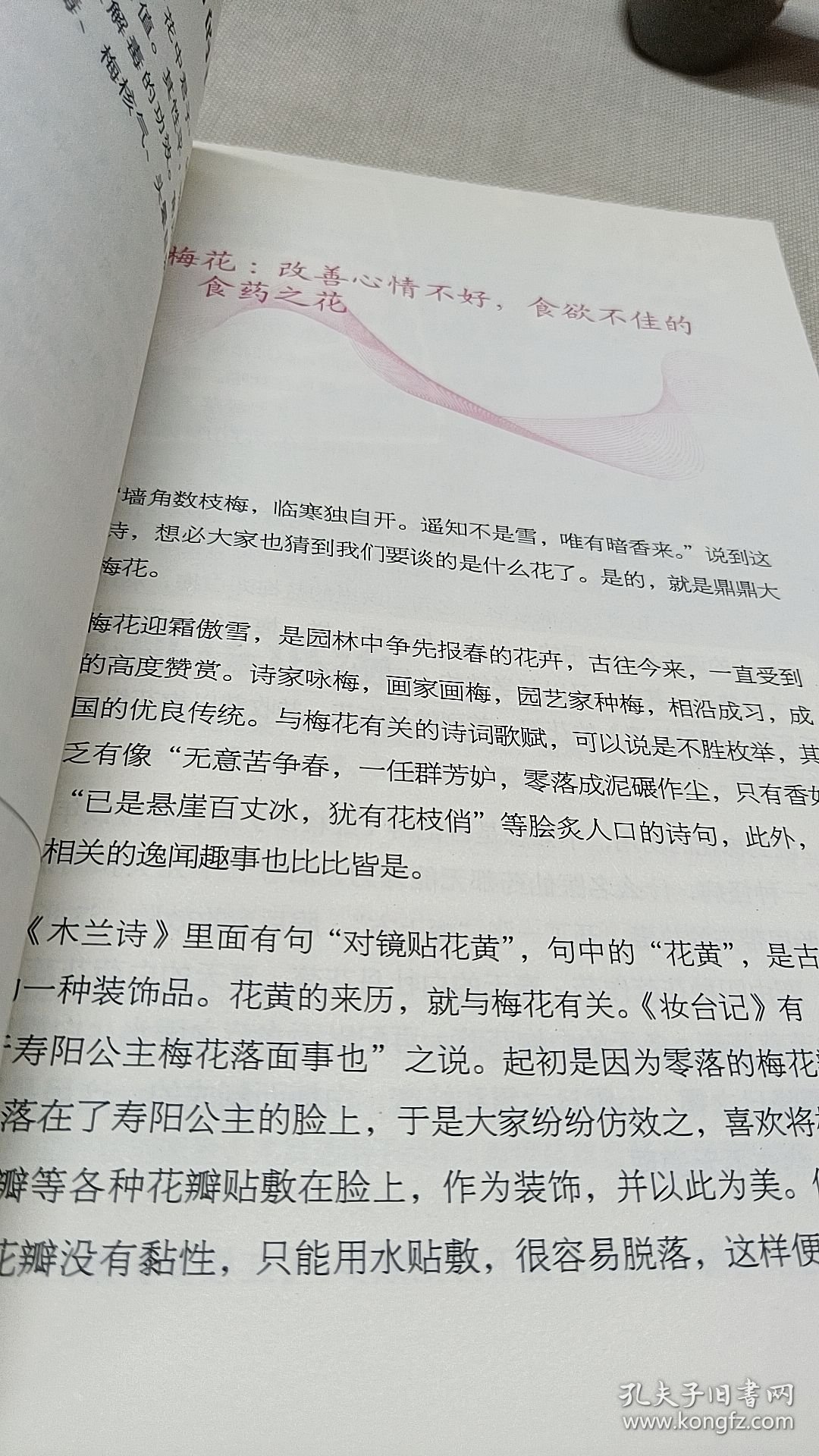 花养女人幸福一生