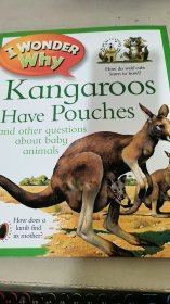 IWonderWhyKangaroosHavePouches為什么袋鼠身上長袋