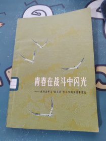 青春在战斗中闪光