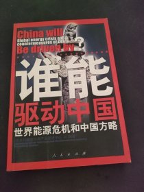 谁能驱动中国——世界能源危机和中国方略