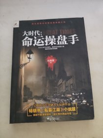 大时代第2季：命运操盘手