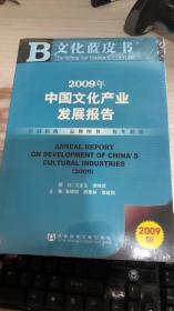 2009年中国文化产业发展报告