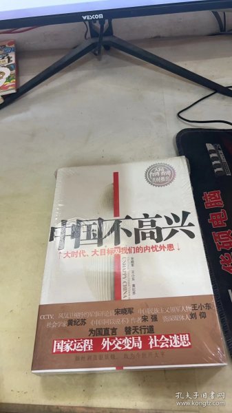 中国不高兴：大时代大目标及我们的内忧外患