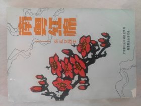 南粤红棉：东纵女战士