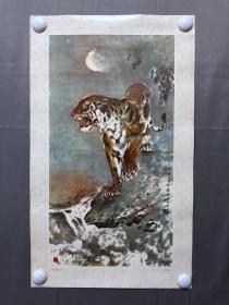 17423~画片【袁熙坤】花鸟画，老虎-秋夜虎行图，尺寸约为57*34厘米