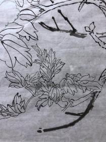 18154~【周爱莲】工笔白描花鸟画，锦鸡，尺寸约为100*55厘米