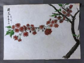 18688~【梁顺如】无款花鸟画，写生，尺寸约为28*20