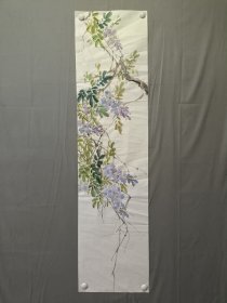 花鸟画，无款，紫藤，尺寸137×35厘米