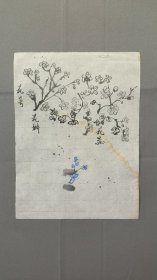 22791，继山花鸟画，花朵习作，尺寸约24×17厘米